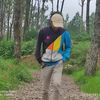 acil151515