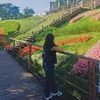 thea_anchor7