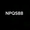 nps88.__