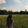 cipaaw410