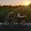 _zinedinee