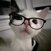 wikarlikesleep