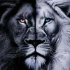 realmadred_001