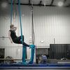 acrogeist