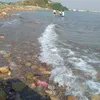 latoi12345678
