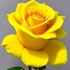 muhamma5963883667