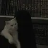jan_elsayed_0