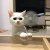 mydiarysctf