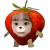 lucs_aa