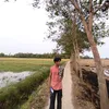 mggyihein1