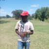 waynesck