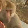 leoknowssomthing