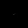 wildandf