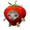 sbtn9_