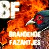 brandendefazantjes