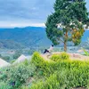 nguyenphuochoanglong