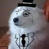 stigi_rp_prpject