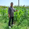 afriladi575