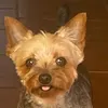 franciscozarcero0