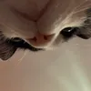 notzqhra