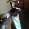 yanzprst_am