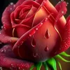 user47g6o5jbay