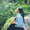 nphuong513