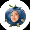 lilydoca