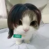 luminous_riel