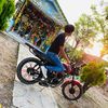 yr_pollo.07