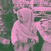 _pitaa0037
