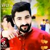 tanhaibrar393