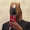 rondinn_