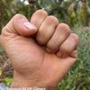 chai.chuanchew16