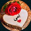 user4293020680453