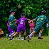 paroo_aja