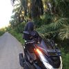 only_canss54