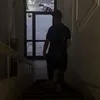 grekko_2