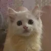 c_o_n_g_