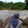 ptmh06