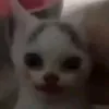 sohhor