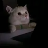 boowinggg
