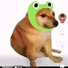 khnhhonv0