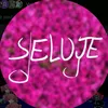 Seluje