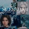 cansudemir3547