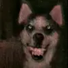 lulukassss
