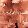 malak.ahmed3981