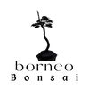 borneo_bonsai
