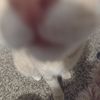 mariacrisantos6