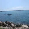 paolopalmitessa65